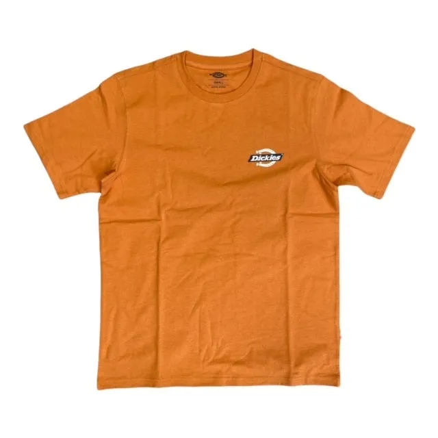 Dickies T-shirt manica corta da uomo Ruston Tee DK0A4XDC C38 giallo ocra