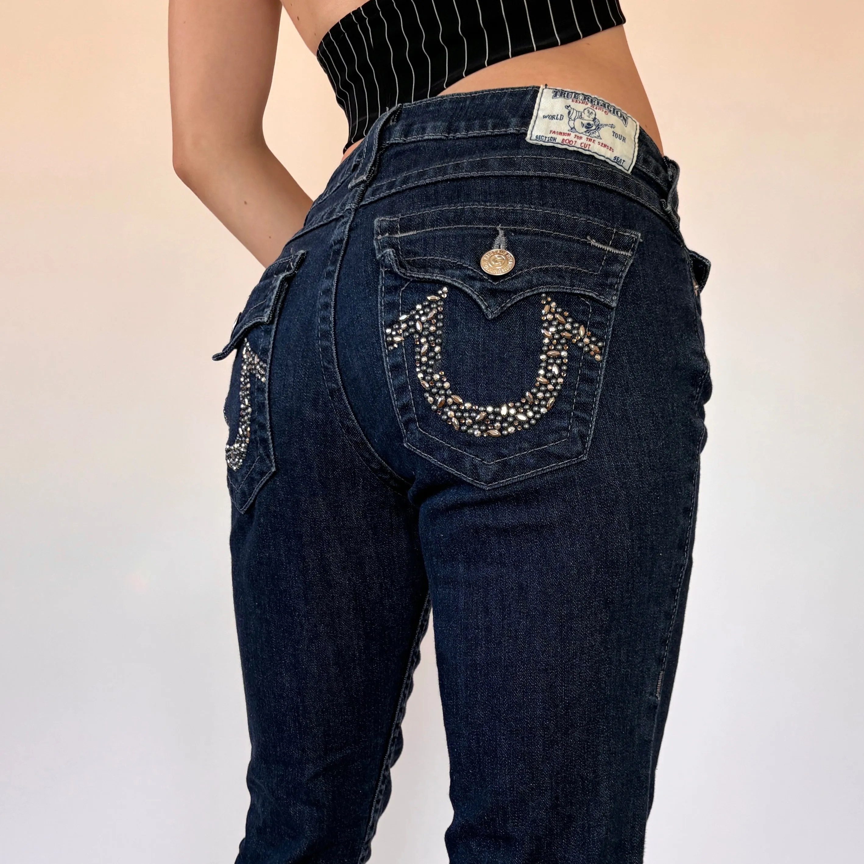 True Religion Low Rise Y2K Jeans (S)