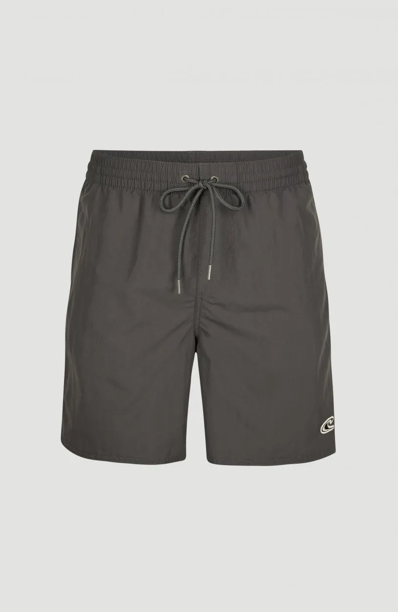 Vert Swim Shorts | Asphalt